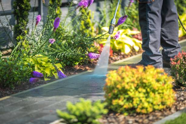 Best Winterizing Services  in Masontown, PA